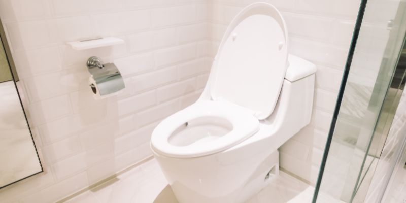 Como Desentupir Vaso Sanitário Que Caiu Objeto Dentro em Jundiaí: 4 Técnicas